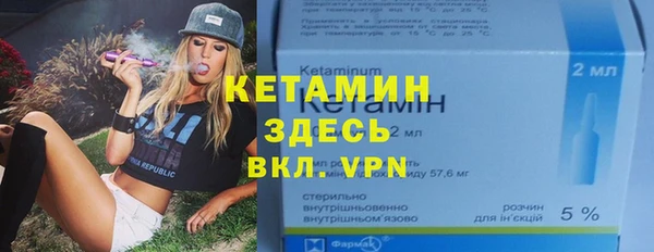 стаф Аркадак