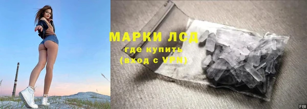 стаф Аркадак
