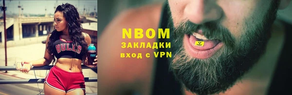 стаф Аркадак