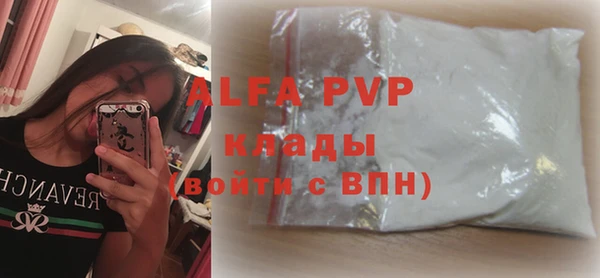 стаф Аркадак