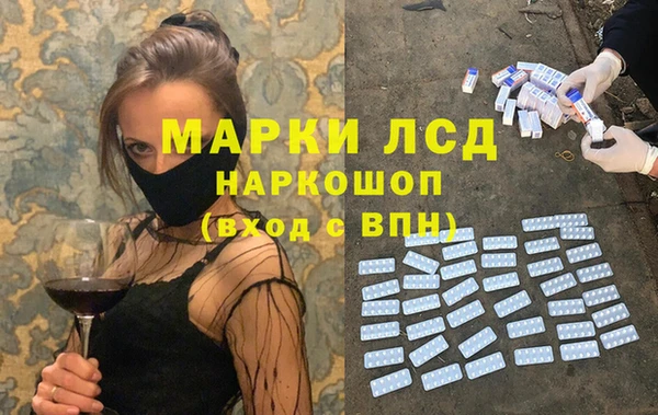 стаф Аркадак