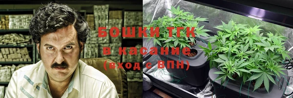 стаф Аркадак