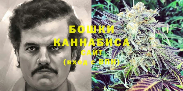 стаф Аркадак