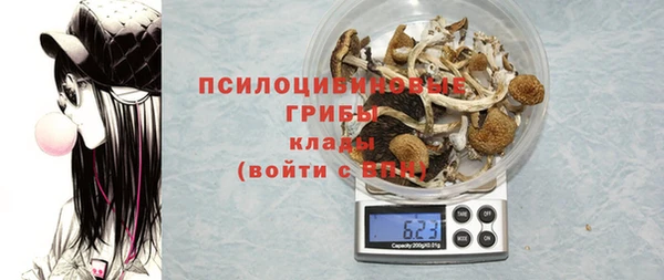 СК Арсеньев