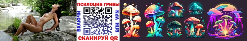 закладка  Волхов  Псилоцибиновые грибы Psilocybine cubensis 