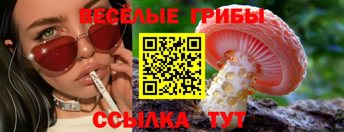купить наркотики сайты  Псилоцибиновые грибы мухоморы  Вход с VPN  Волхов 